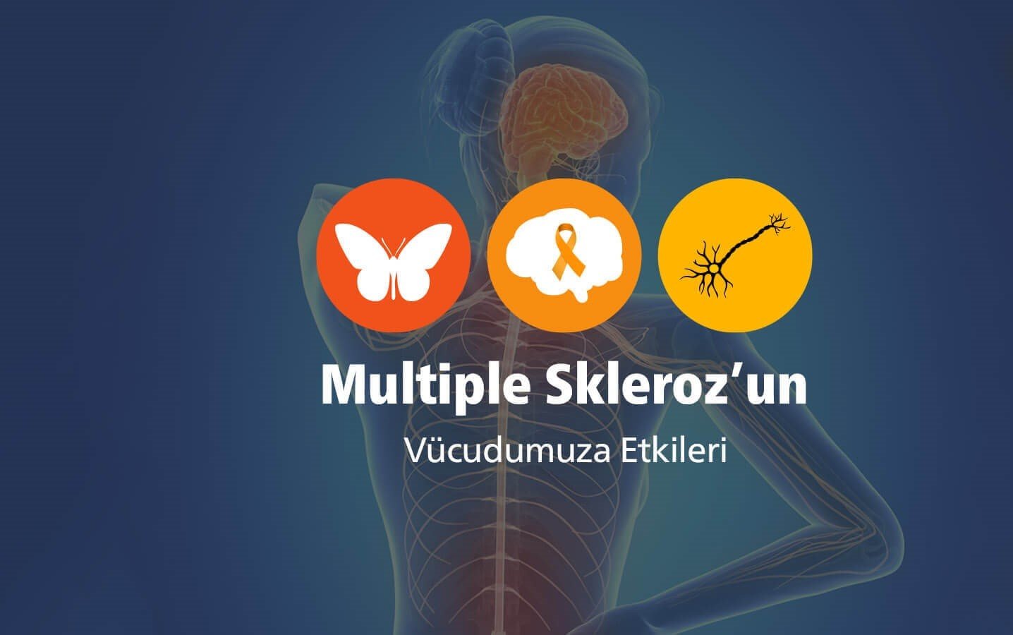 MS Bağışıklık Sisteminizi Etkiliyor 